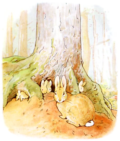 The fir-tree home