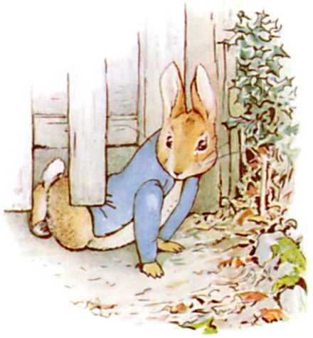 Peter squeezing under the gate