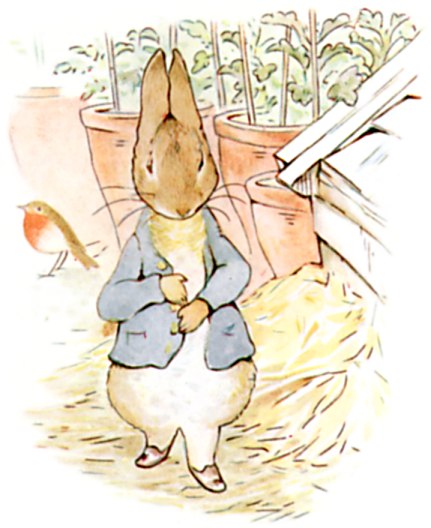 Peter looking for parsley