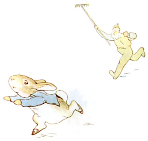 Mr. McGregor chasing Peter