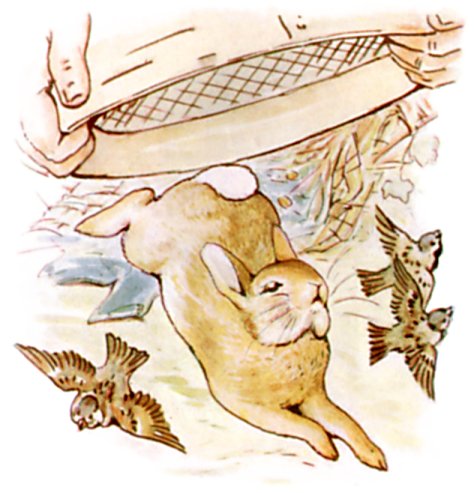 Peter escaping the sieve
