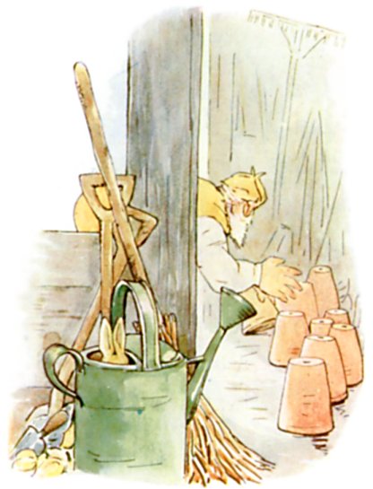 Mr. McGregor searching the tool-shed