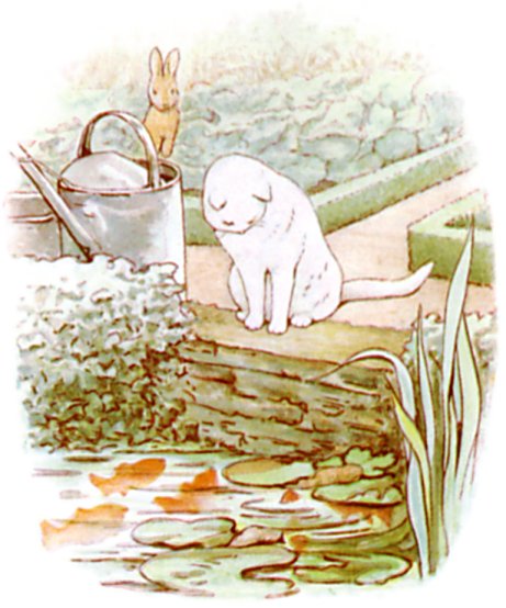 Peter and the cat at the pond