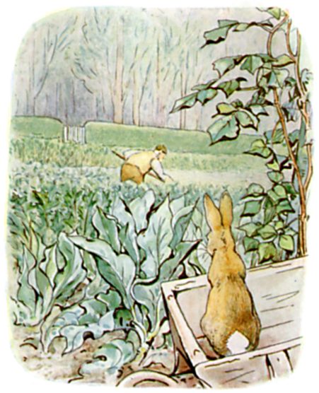 Peter on the wheelbarrow