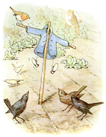 The scarecrow in the garden