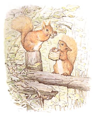 The Tale of Squirrel Nutkin