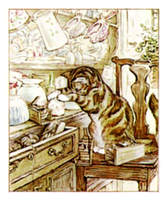 Simpkin on the dresser looking at the mugs