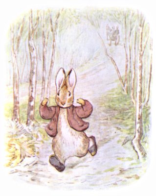 Benjamin Bunny sliding down into the road