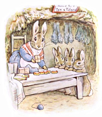 The entrance to the rabbit hole in the wood