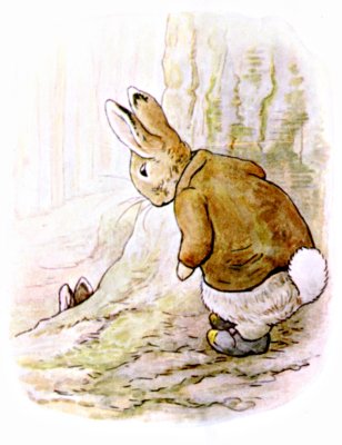 Benjamin Bunny listening with pricked ears