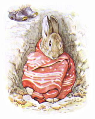 Peter Rabbit wrapped in a red cotton pocket-handkerchief