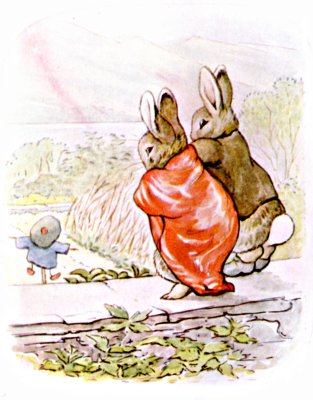 The rabbits looking down from the wall into the garden