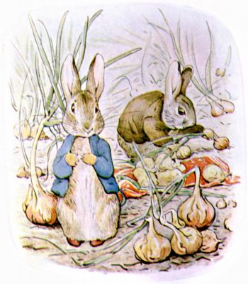 Filling the handkerchief with onions