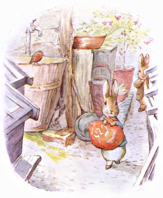 The rabbits amongst the flower-pots and tubs