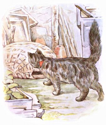 The cat sniffing the basket