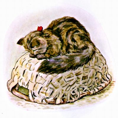 The cat sitting on top of the laundry basket