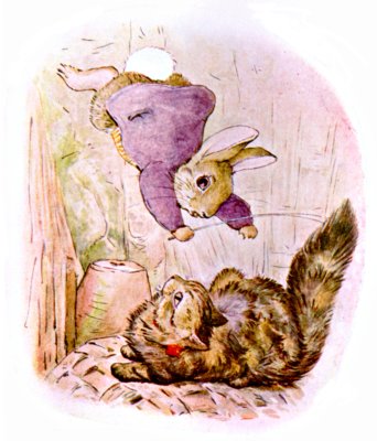 Old Mr. Bunny pouncing on the cat