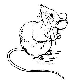 Emblem: A mouse looking up over its shoulder