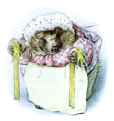 The long yellow stockings of Sally Henny-Penny