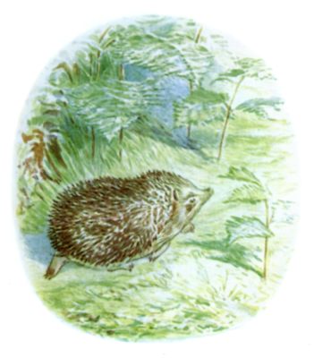 Mrs. Tiggy-Winkle running up the hill covered in prickles
