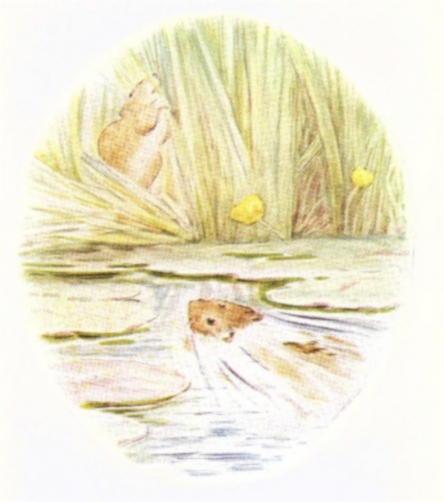 Something in the rushes