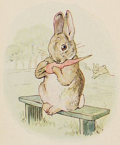 THIS is a nice gentle Rabbit.<br>His mother has given him a carrot. |70%
