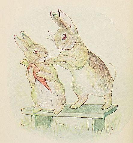 THE bad Rabbit would like some carrot. |70%