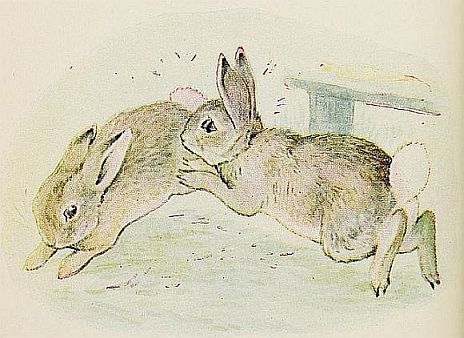 AND he scratches the good Rabbit very badly. |70%