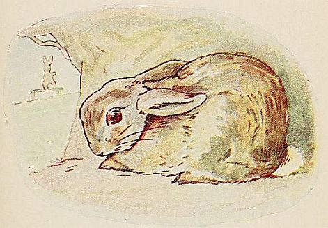 THE good Rabbit creeps away, and hides in a hole. It feels sad. |70%