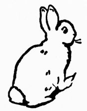 The Good Rabbit |20%