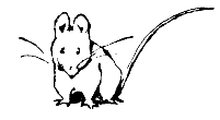 Mouse vignette