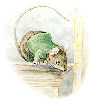 The Mouse watches Miss Moppet from the top of the cupboard