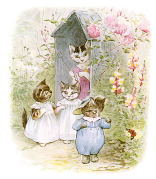 The kittens ready for the garden