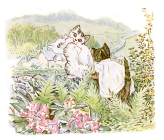The kittens climbing the rockery with pinafores back to front