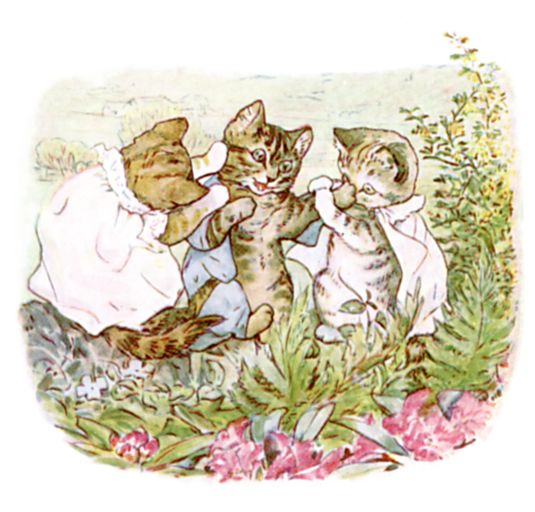 The kittens on the garden wall