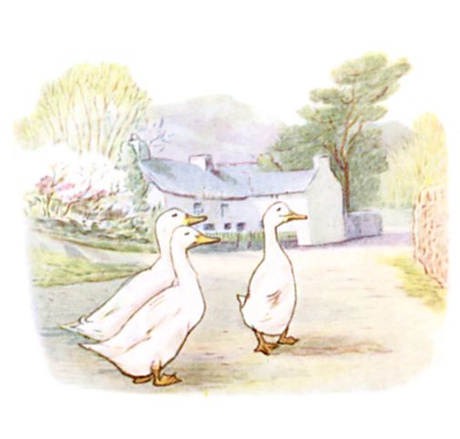 The Puddle-Ducks picking up the kittens' clothes
