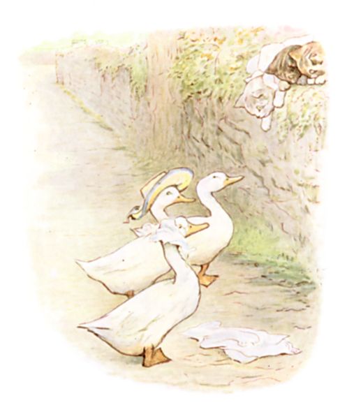 The ducks putting on the hat and tucker