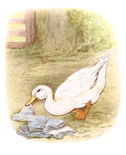 Mr. Drake Puddle-Duck picking up Tom's clothes