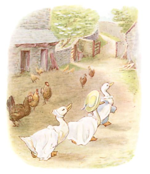 The ducks marching off in the kittens' clothes