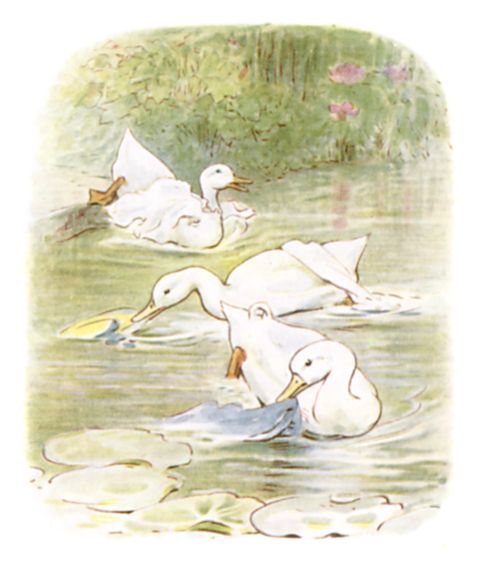 The clothes floating in the pond