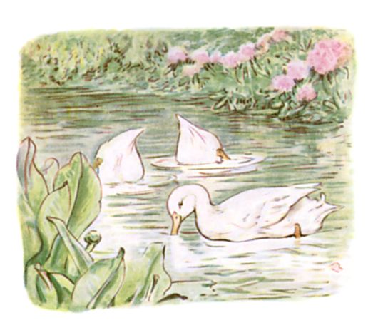 The Puddle-Ducks looking for their missing clothes