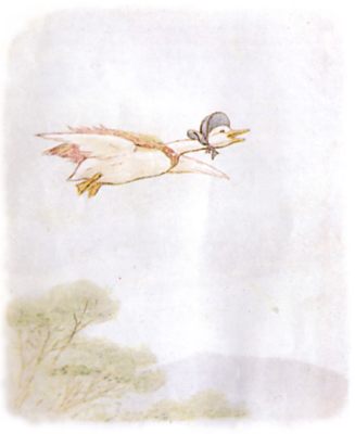 Jemima soaring over the tree-tops