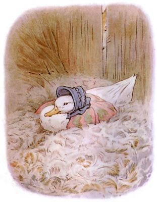 Jemima inside the feather-filled wood-shed