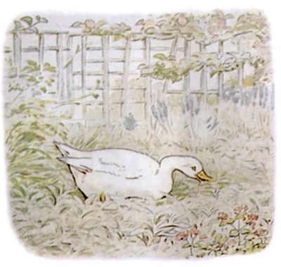 Jemima gathering herbs in the farm-garden