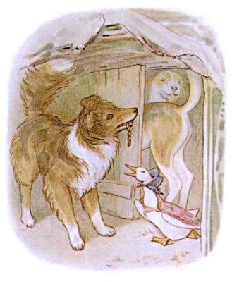 Kep letting Jemima out of the shed