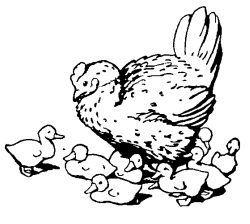Emblem: A duck walking
