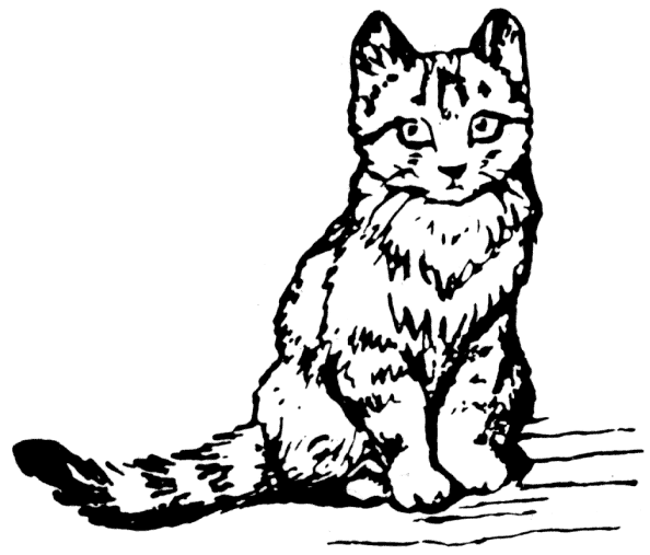 Tom Kitten
