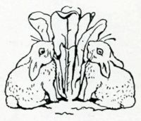 Emblem: A rabbit and a cabbage| 30%