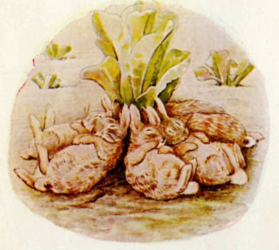 The Tale of the Flopsy Bunnies