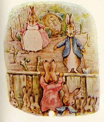 Peter Rabbit with no cabbages to spare